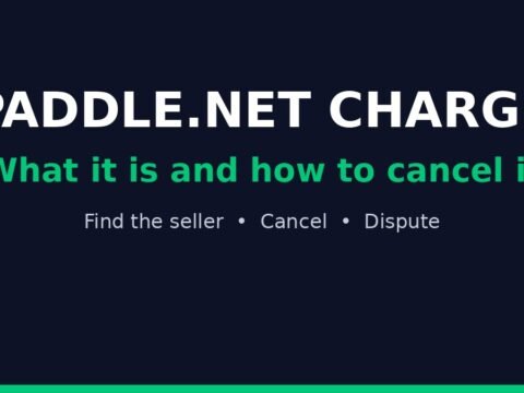 Paddle.net charge how-to title card